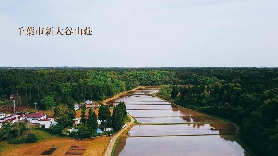 Otani Chiba
